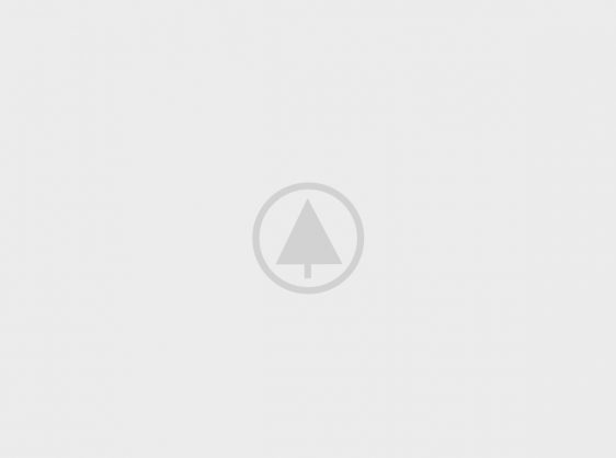 wood-gallery-placeholder-5 wood-gallery-placeholder-5