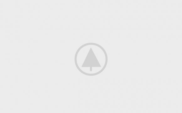 wood-gallery-placeholder-5 wood-gallery-placeholder-5